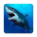 Logo of Shark Wallpapers android Application 