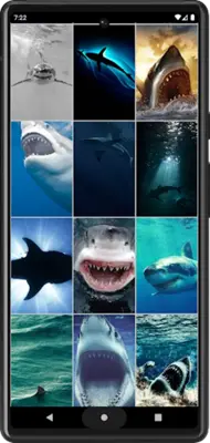 Shark Wallpapers android App screenshot 0