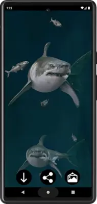 Shark Wallpapers android App screenshot 1