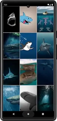 Shark Wallpapers android App screenshot 2