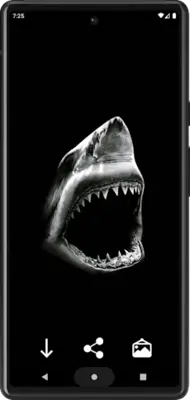 Shark Wallpapers android App screenshot 3